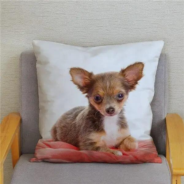 Милая Мини Собака Чихуахуа Декоративная Наволочка Офис Гостиная Автомобиль Украшения Дома Наволочка