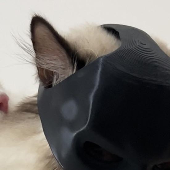 Кошачья маска летучей мыши, маска летучей мыши на пол-лица, маска героя-летучей мыши для косплея, маска кошки-супергероя с отверстиями для ушей для костюмированных вечеринок на Хэллоуин, реквизит для фотосессии с домашним животным