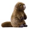 Lilizzhoumax Marmot Plush Toy, Realistic Groundhog Stuffed Animal Super Soft Groundhog Plush Toys for Girls Gifts for Kids, Halloween Decorations