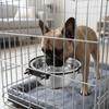 Внутренняя подвесная миска для домашних животных из нержавеющей стали, гладкая, круглая форма, миска для еды в клетку для собак, кормушка для клетки животного
