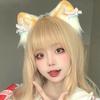 Cosplay Headpiece Beast Wolf Hair Hoop Cartoon Kitten Hair Styling for Halloween Headband Cartoon Kitten Animal Carnivals