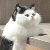Декоративная фигурка пушистого котенка Yousheng, реалистичная модель котенка, подвесное украшение для дома, подставки под телевизор или полки.