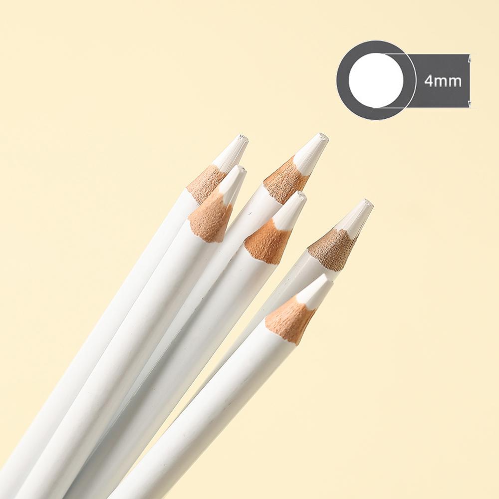 6 PCS White Charcoal Pencils Set Highlight Sketching Pencils Artists Bold White Charcoal Transparent Object Shading Art Supplies