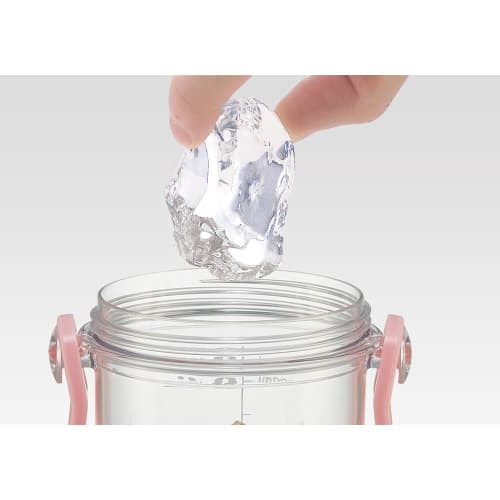 Skater Children's Clear Plastic Water Bottle 480ml Disney Princess with Scale To Manage Hydration PSB5TRC-A