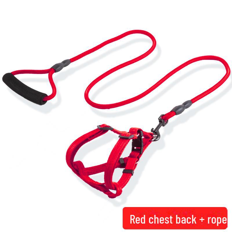 Регулируемый комплект поводка и ошейника для маленьких, средних и крупных собак - Идеально подходит для выгула домашних питомцев, таких как тедди и золотистый ретривер