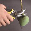 Multifunction Plant Pruning Shears Hand Pruner Gardening Shears Gardening Pruner Grafted Fruit Picking Tree Bonsai Scissors