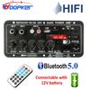 WOOPKER 30W-120W Цифровой Bluetooth усилитель D10C Сабвуфер Двойной микрофон Усилитель Динамик для Автомобильного Караоке Домашнего Кинотеатра DIY