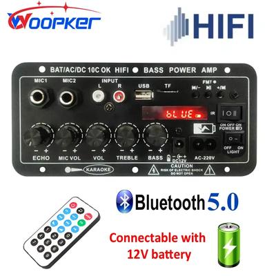 WOOPKER 30W-120W Цифровой Bluetooth усилитель D10C Сабвуфер Двойной микрофон Усилитель Динамик для Автомобильного Караоке Домашнего Кинотеатра DIY