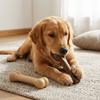 Wear Tough Dog Molar Stick Beef Scent Durable Bite Toy  Indoor Outdoor Play
