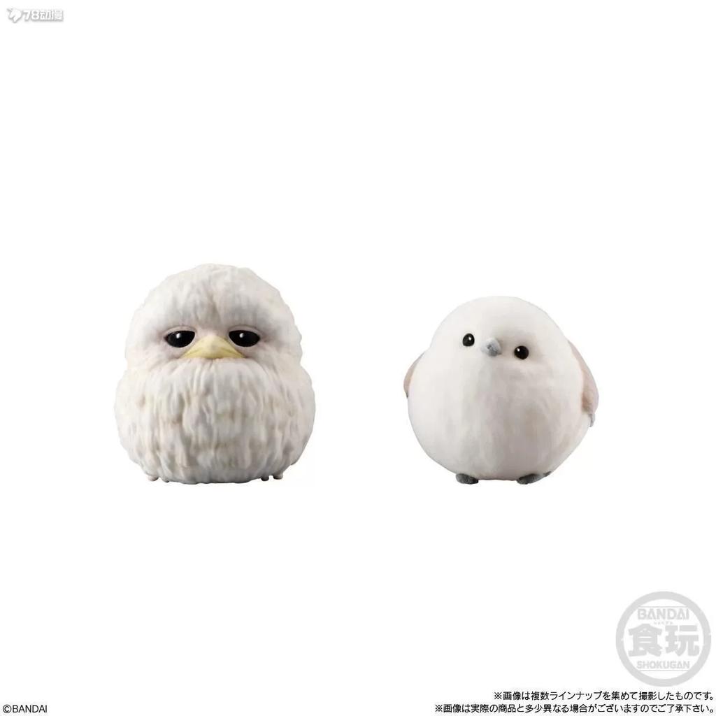 Genuine Popularity Gacha Palm Little Cute Friend Little Bird Plush Fury Set Cinnamon Finch Snow Fairy Action Figure Model Toys