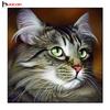 HC 5D DIY Diamond Painting Animal Diamond Mosaic Embroidered Cat Pattern Hobbies Crafts