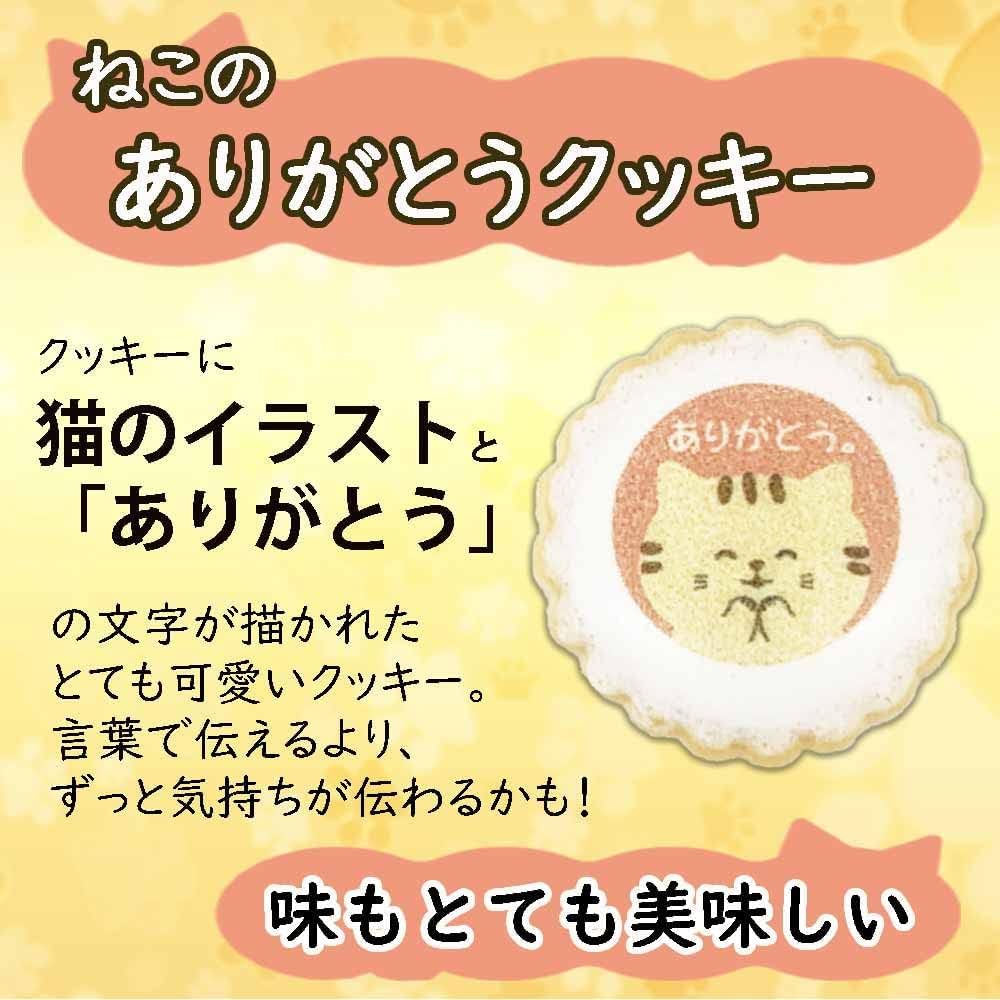 Two Bags of 50 Individually Wrapped Thank You Cat Made In Perfect As a Small or Small Thank You Gift for Thank You Farewell and Other Perfect As a