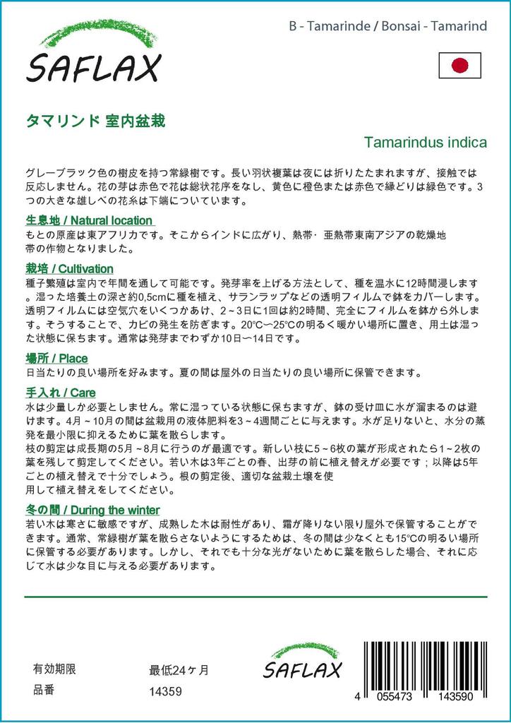 SAFLAX Garden in the Bag - Бонсай - Тамаринд - 4 семени - С субстратом в подходящем пакете-стойке - Tamarindus indica
