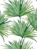 Green Leaves Peel and Stick Wallpaper Vintage Botanical Palm Leaf Self Adhesive Wallpaper Removable Waterproof Contact Paper