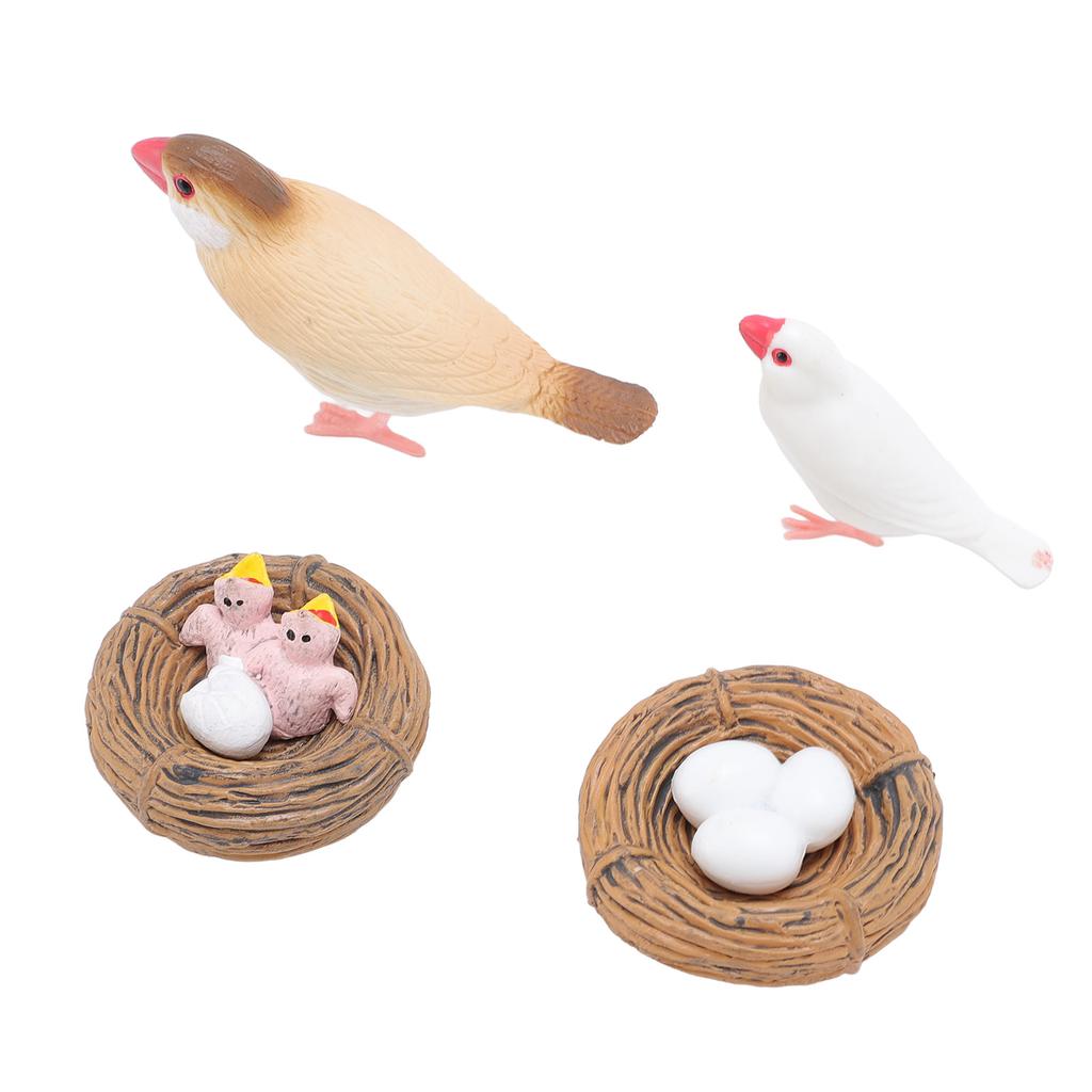 4 шт. Фигурки птиц из ПВХ для детей, реалистичные развивающие игрушки для цикла роста животных