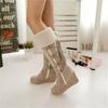 Autumn and Winter European and American Women's Leisure Long Tube High Top Plush Large Warm Snow Boots