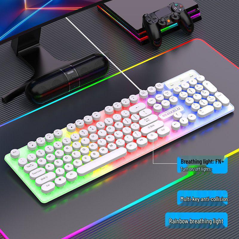 Punk Retro Wired Keyboard & Mouse with USB, Multi-key Anti-ghosting, Universal for Gaming & Office.