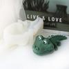 3D Cartoon Swimming Frog Swimming Crocodile Candle Silicone Mold DIY Cute Animal Image Fragrance Plaster Resin Home Decoration