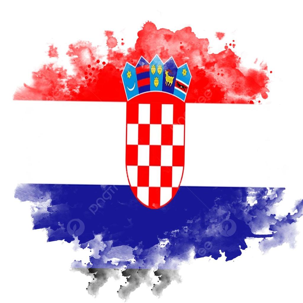 Croatia Croatian MMA Kick Boxing UFC Muay Thai T-Shirt Graphic Symbol Badge Retro Vintage 3D Print Men Women Unisex Short Sleeve Round Neck