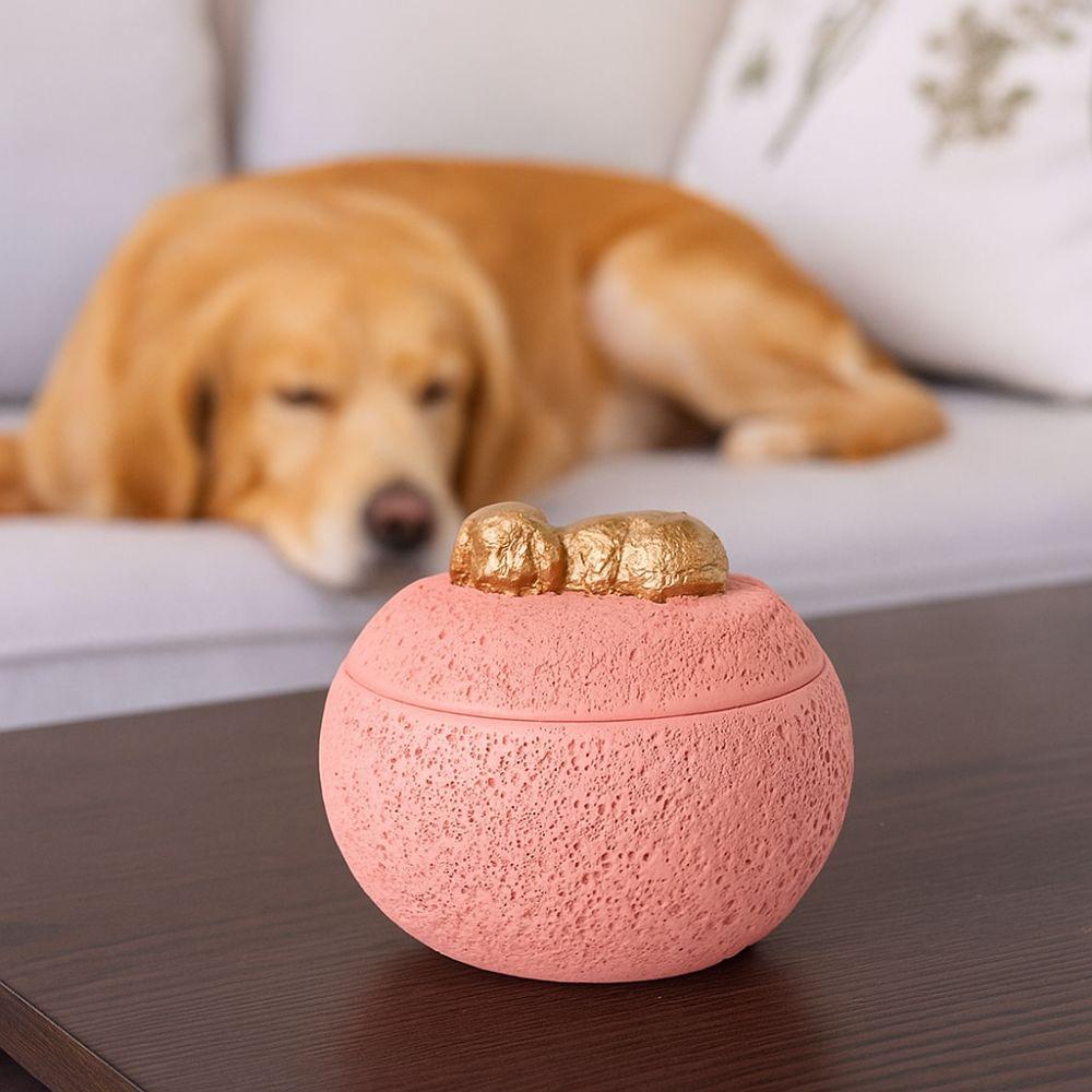 Пылезащитная Мемориальная урна для питомцев Водонепроницаемые кремационные урны Портативный контейнер для праха питомца Подарок сочувствия