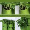 Настенная фетровая сумка для рассады с несколькими карманами, вертикальное кашпо для садовой виллы