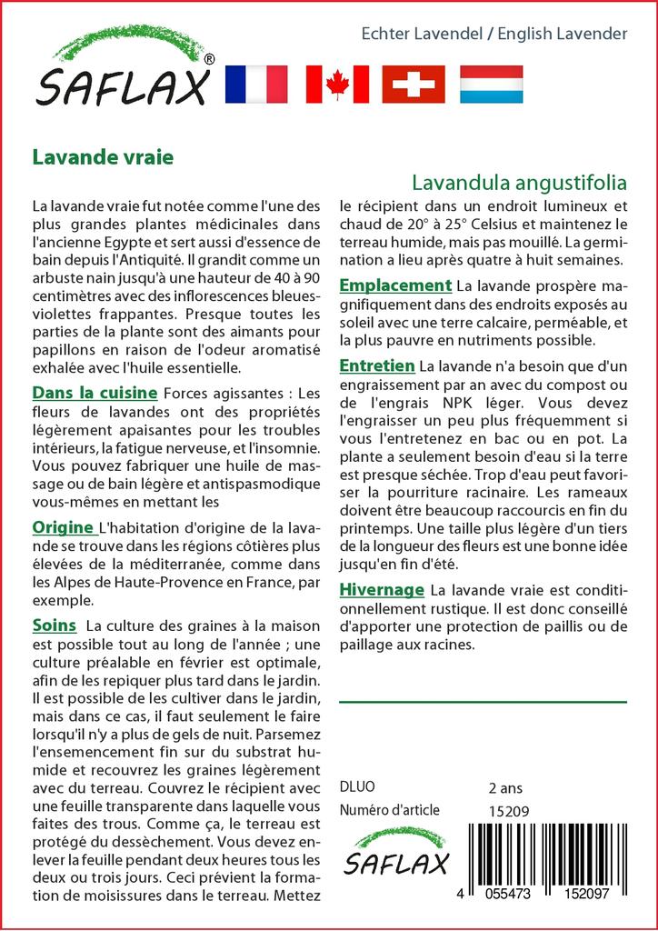 SAFLAX Garden in the Bag - Английская лаванда - 150 семян - С субстратом в подходящем мешке - Lavandula angustifolia