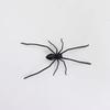 3D Design Simulation Spider Toy Magnet Spider Prank Toys Spiders Decoration  Halloween Party