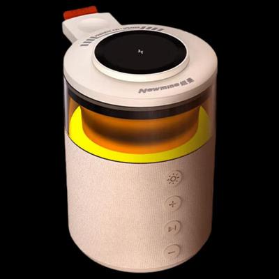 Bluetooth-колонка Newman HT-554 с подсветкой, штекер CN (адаптер в комплекте) (Китайская версия)