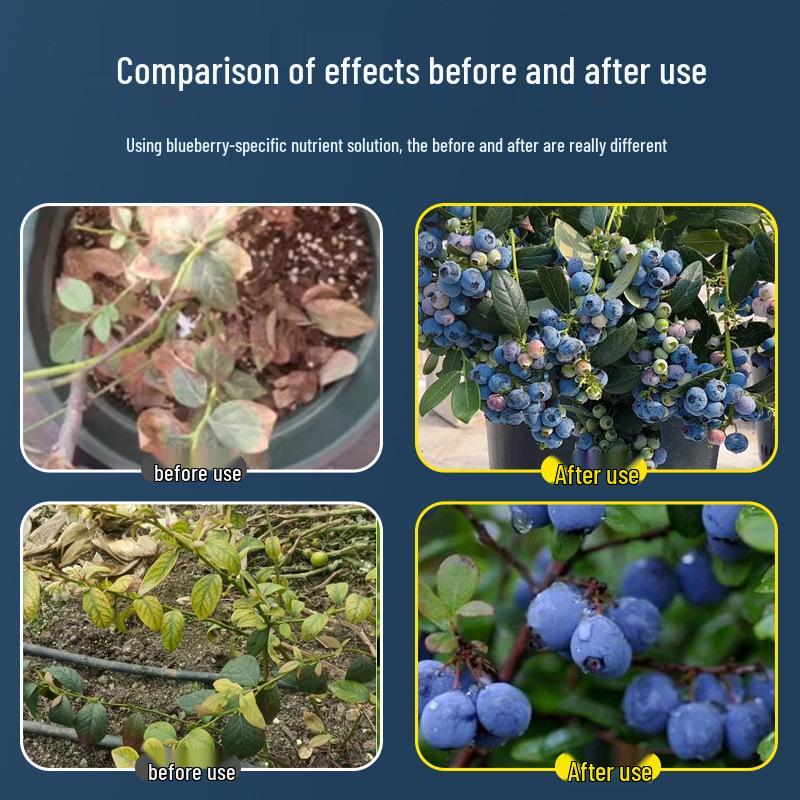 Специальный питательный раствор для голубики: Органическое подкисляющее удобрение для голубики в горшках, возвращает желтым листьям зеленый цвет
