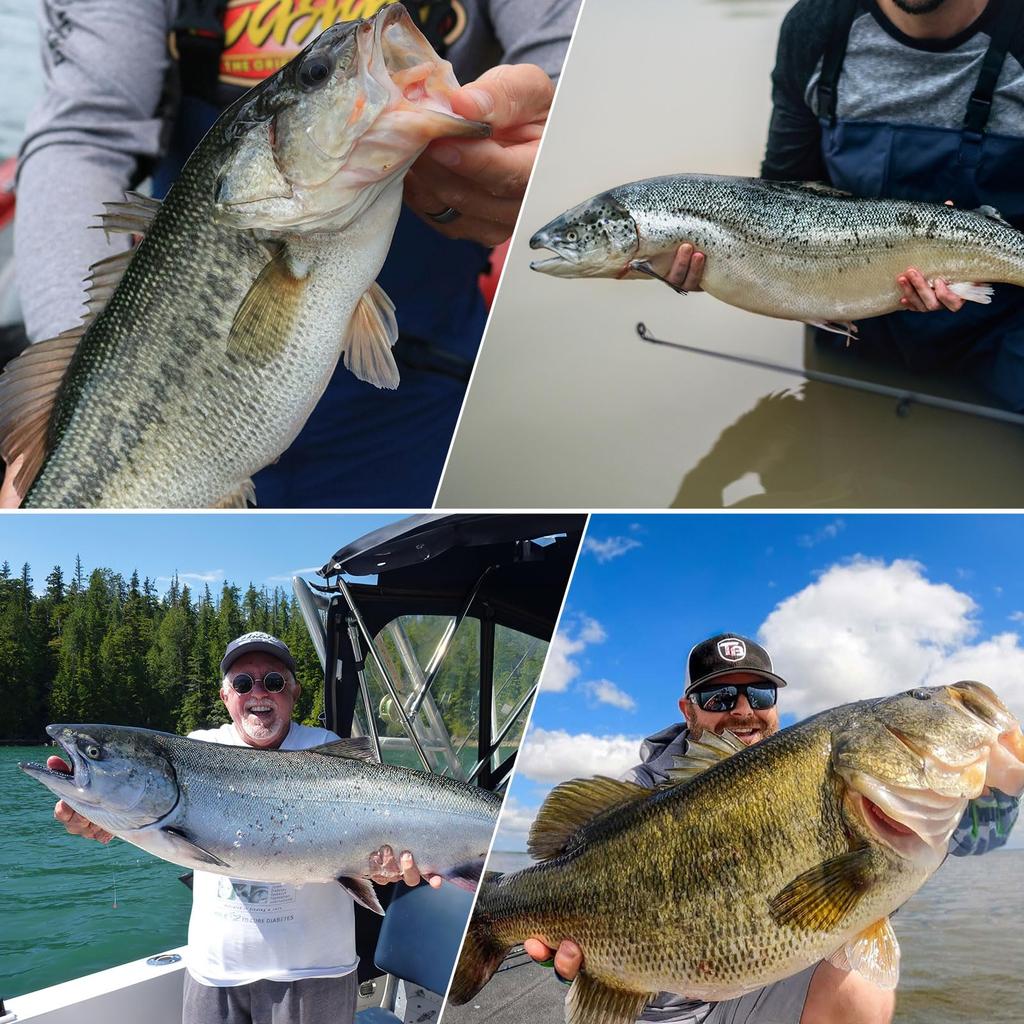 Goture Металлический набор для медленного джиггинга, 30 г, 5 шт., Приманка, Джиг, Грузило, Снасть, Джиггинг, Луфарь, Желтохвост,