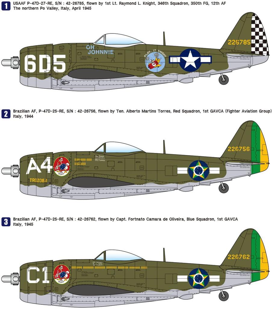 Wolfpack Designs Масштаб Армия ВВС Thunderbolt Средиземноморский театр Премиум-издание Пластиковый набор 1/48 США. P-47D (WOLWP14812)