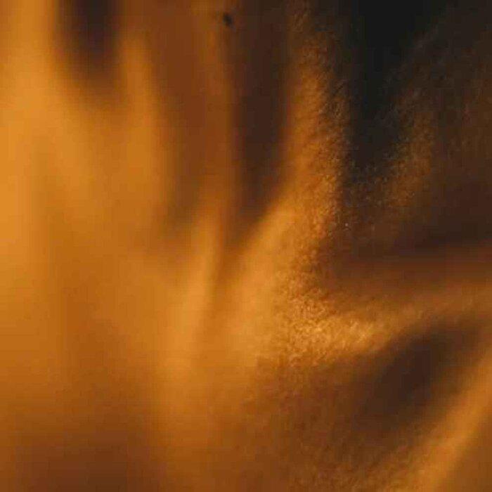 Blossom Сыворотка для тела Silk Skin, Специи и Сандаловое дерево, Разработана в Великобритании