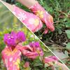 Palm-Coated Yard Cleaning Cleaning Tools Non-Slip Working Gloves Household Gloves Garden Gloves