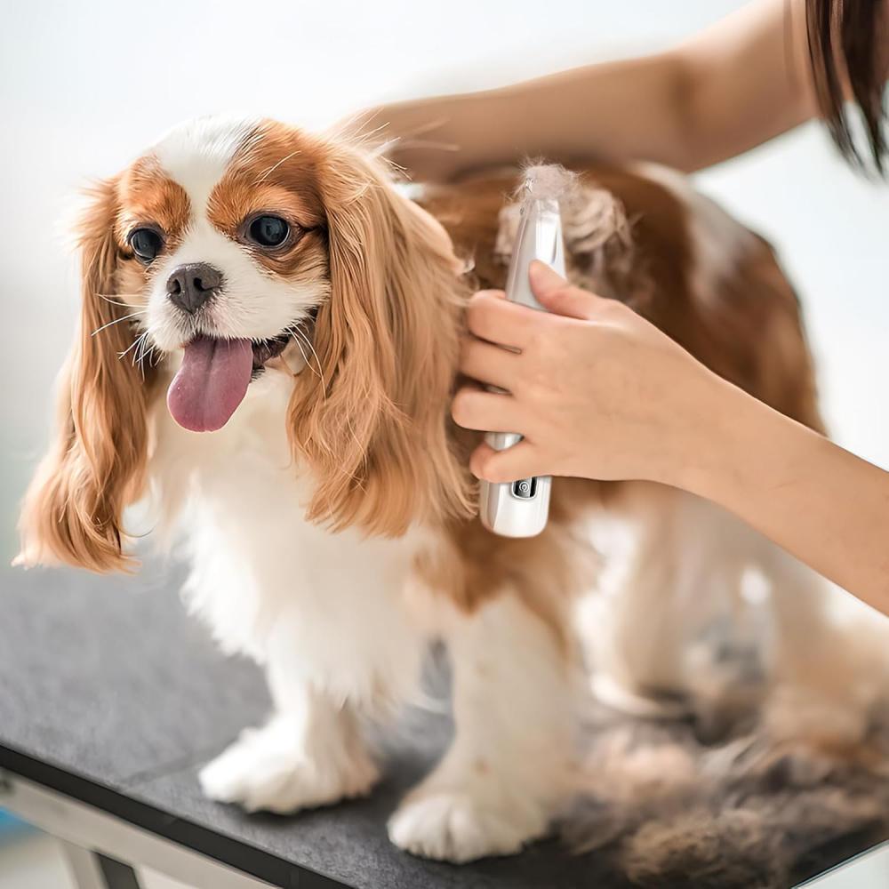 Pet Micro Precision Trimmer, перезаряжаемый беспроводный триммер для лап собак с низким уровнем шума и светодиодной подсветкой, многофункциональные машинки для стрижки домашних животных для глаз, ушей, лица