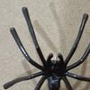 1Pc Spider Play Earring Comfortable Wear Giant Statement Spider Decor