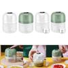 Electric Garlic Chopper Herbs Fruits Masher Food Blender Nuts Meat Processor