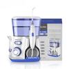 V300G Oral Irrigator 5pcs Tips Dental Water Flosser Electric Cleaner 800ml Oral Hygiene Dental Flosser For Oral Care