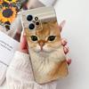 For Xiaomi Redmi Note 12 4G Case Cute Cartoon Girls Cover Soft TPU Phone Case For Redmi Note 12 Note12 4G 5G Fundas Bumper