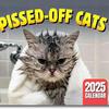 Календарь для кошек 2025 года Забавный настенный календарь с изображением кошек Злой котенок