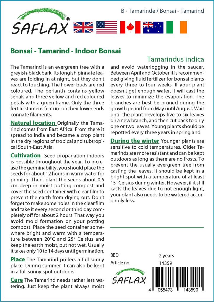 SAFLAX Garden in the Bag - Бонсай - Тамаринд - 4 семени - С субстратом в подходящем пакете-стойке - Tamarindus indica