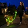 Super Bright LED Luminous Pet Leash Spiral Braided Nylon Dog Walking Leash  Night Walking