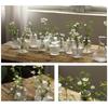 Yangi Ijodiy Shaffof Guldon Stol Dekorativ Gidroponik Terrarium Shisha Vaza