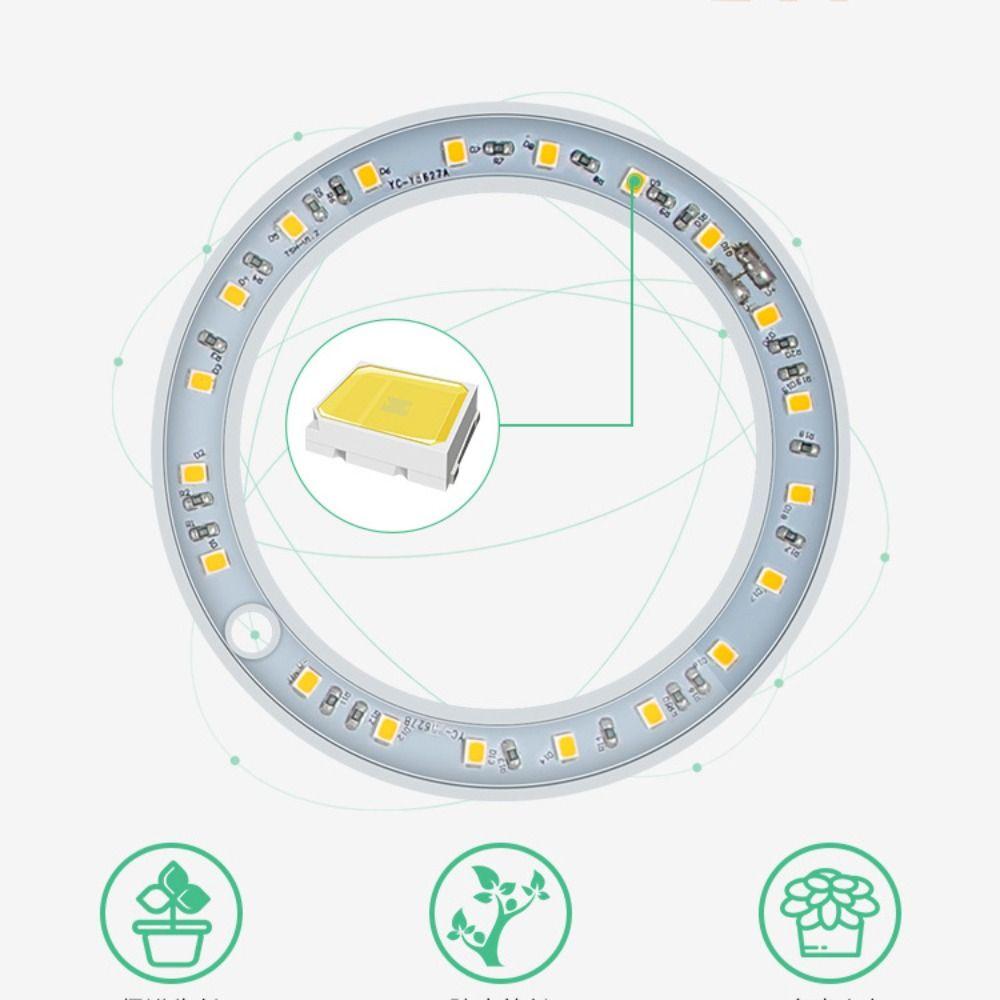 With Timer For Indoor Plants Herb Potted Seedling Growing Lamp Ring Light LED Light Plant Light