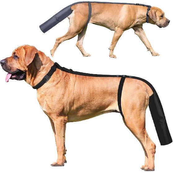 2 Pieces Dog Tail Protector Cover for Wounds, Dogs Tails Heal Sleeve, Dog Wound Care for Medium and Large Dogs to Assist in Recovery from Injury,