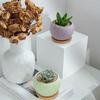 1 шт. Милый цветочный горшок Креативные горшки для суккулентов Керамические горшки для домашнего садоводства Горшки для комнатных и уличных растений, Керамические горшки для растений