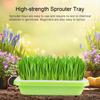 5Pcs Plant Sprouter Tray with Drain Holes BPA Free Garden Soil-Free Hydroponic Young Plant Propagation Wheatgrass Microgreens Germination Growing Kit