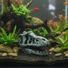 Лазающие питомцы, Уклонение от дыр, Имитация ландшафта аквариума, Окаменелость головы дракона, Домик для рыб и креветок, Декоративные поделки для аквариума