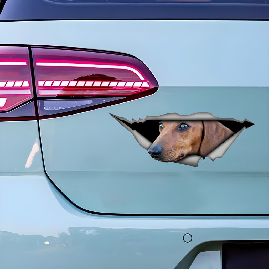 Tan Dachshund Car Stickers Scratch Blocking Self-Adhesive Waterproof Decal, Used for Car, Laptop, Motorcycle, Van, RV