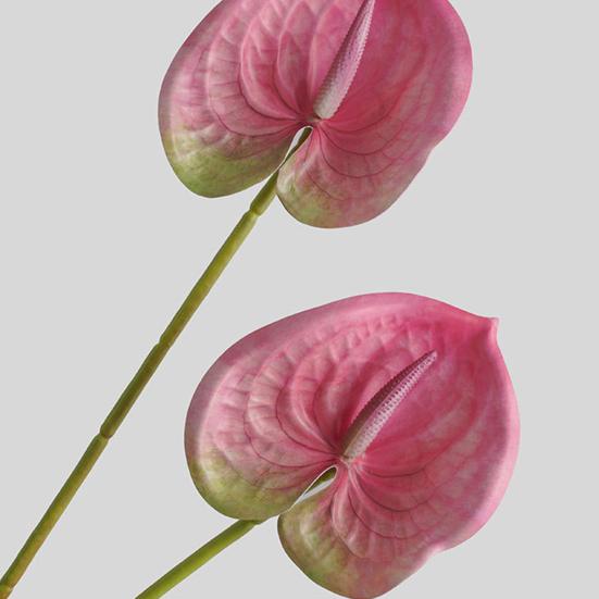 1 ветка искусственный цветок свежий художественный 3D-принт элегантный яркий искусственный антуриум