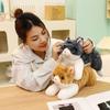 Cute Cute Kitten Doll Plush Toy Cat Doll Children's Company Soothing Doll